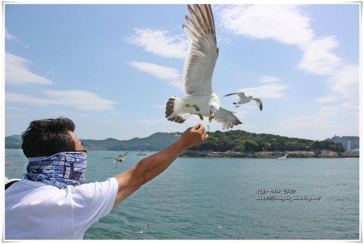 [전라도 여행]여수 가볼만한곳 여수밤바다,고소동벽화마을...