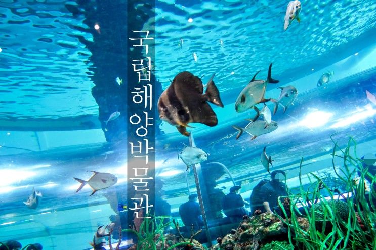 부산여행, 아이와 가볼만한 곳, 국립해양박물관