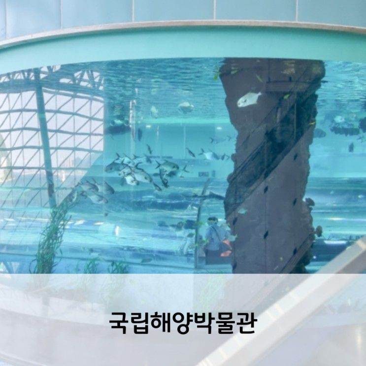 부산 영도 국립해양박물관 아이와 실내 가볼만한 곳