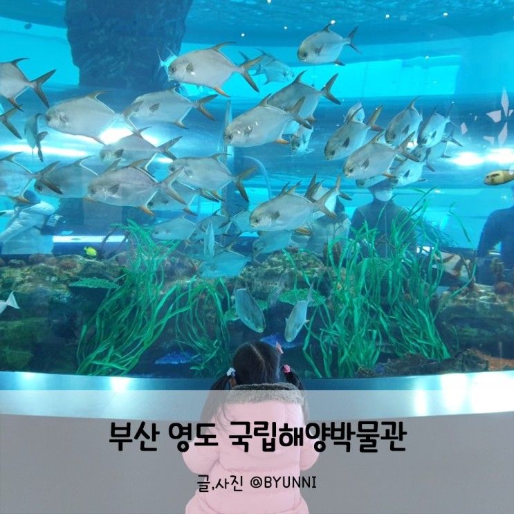 부산 아이랑 가볼만한곳 영도 국립해양박물관