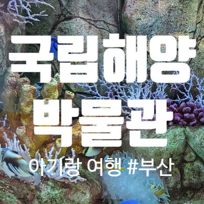 부산 영도 국립해양박물관 ; 돌 아기랑 가볼 만한 곳