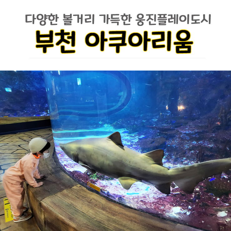 부천 웅진플레이도시 아쿠아리움 볼거리 가득한 아이와 가볼 만한 곳(feat.동물먹이주기체험)