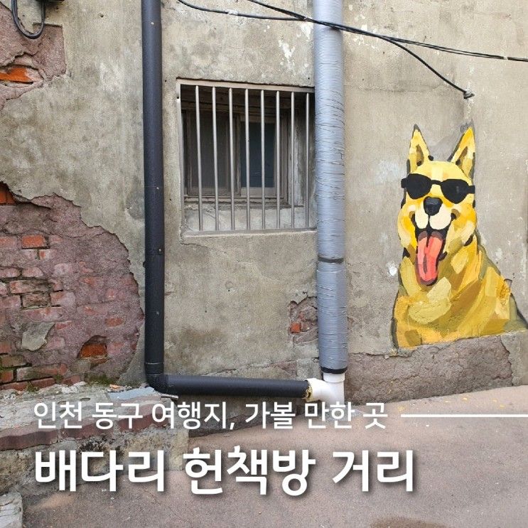 [인천 동구] 배다리 헌책방... 서점, 성냥마을 박물관, 빨래터...