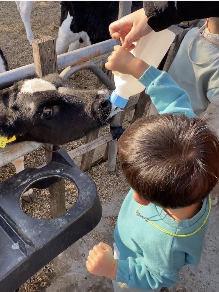 부산경남아기랑갈만한곳/울산 유진목장 /본치즈어리 이색카페 아이들천국^^