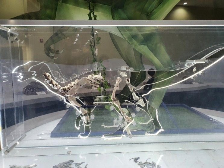 [보성] 비봉공룡공원 - 코리아노사우르스를 보러 갔습니다