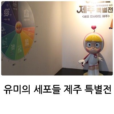 [아아와 제주도]유미의 세포들 제주 특별전 관람했어요