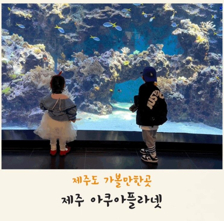 아쿠아플라넷 제주 (공연시간,입장료 할인)+유미의세포들 특별전