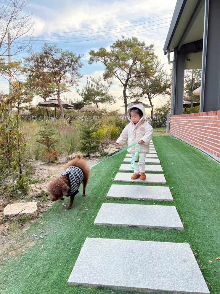 구리 애견동반 카페 레이지데이즈 아기랑 방문 후기 (내돈내산)