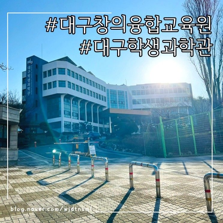 대구창의융합교육원 겨울방학 체험교실 + 대구학생과학관