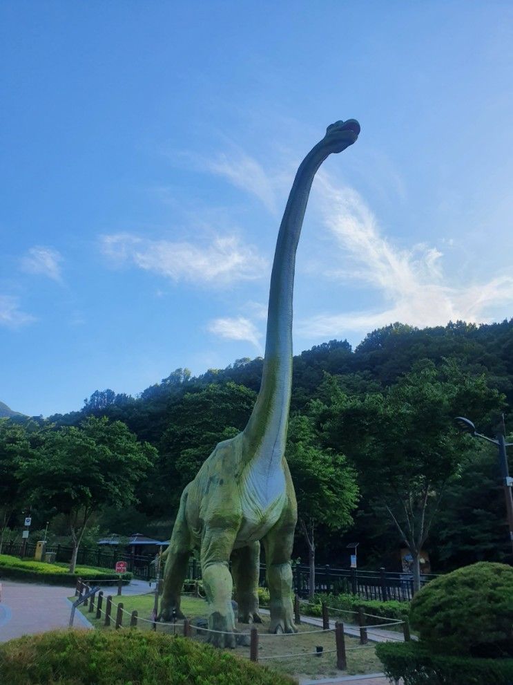 [대구아이랑가볼만한곳]앞산 고산골 공룡공원