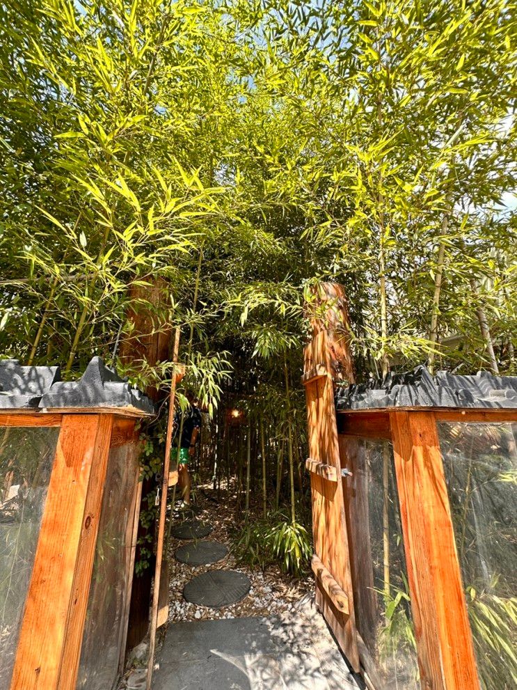 [상주여행/상주카페] 차 한잔의 여유 만남의 숲 우림