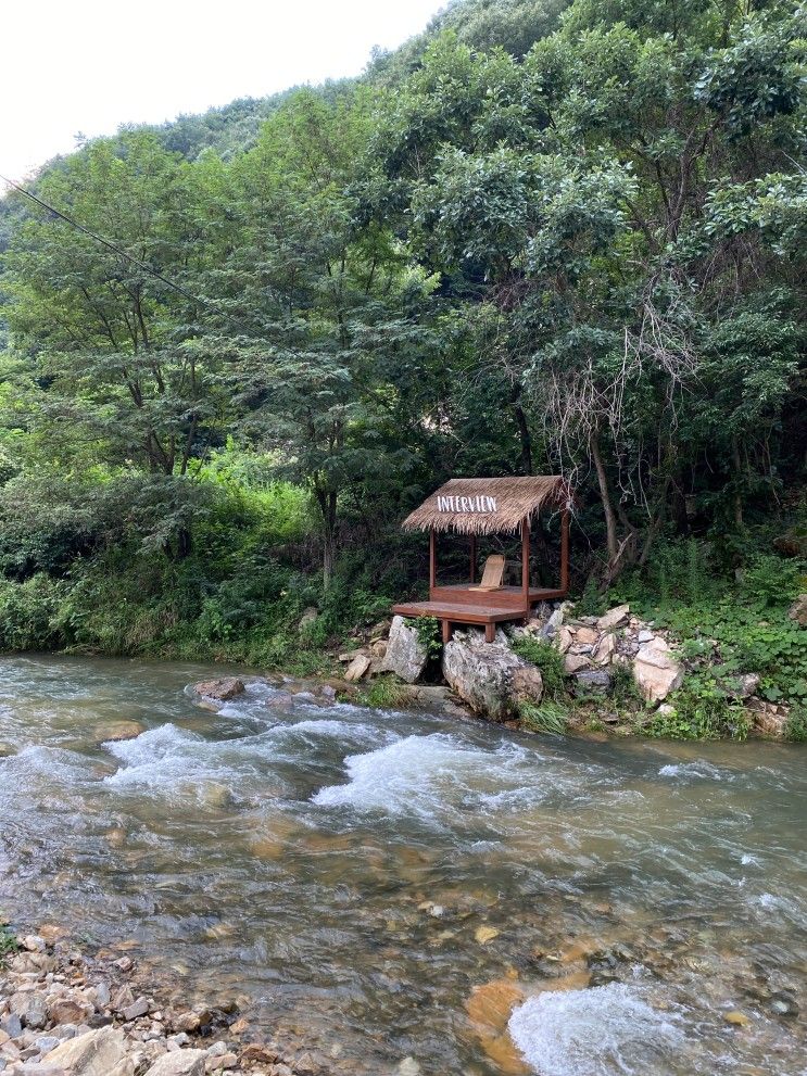 [금산] 스테이인터뷰 금산 - 307호 디럭스 숙박 후기 (감성 숙소/계곡/방갈로/수영장)