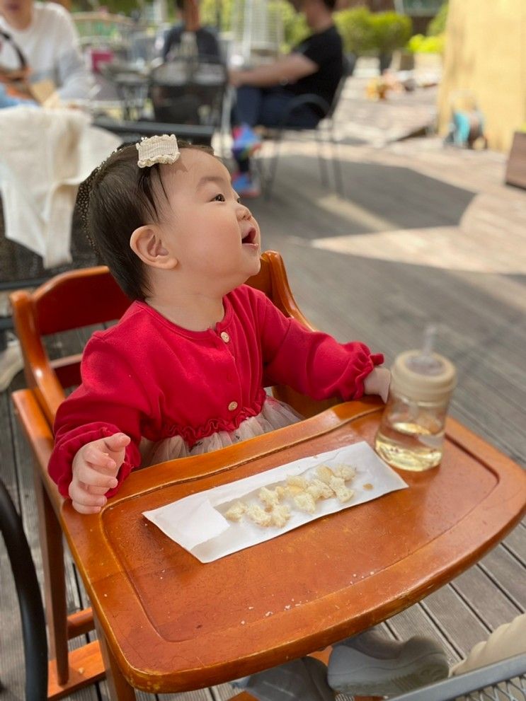 서울근교드라이브 아기랑 가기좋은 안산 맛집 유니스의 정원