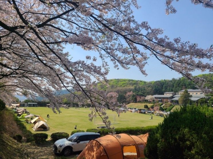 [경기도 근교 캠핑장/ 당일캠핑 가능]동탄 청려수련원_대운동장,농구장 후기