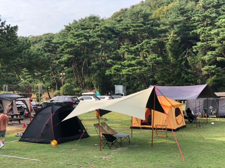 여름엔 역시나 청려수련원 캠핑장