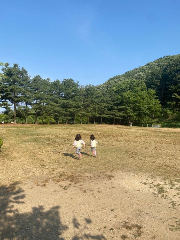 동탄 근교 청려수련원 가서 낮에만 놀고 오기_코쿤3