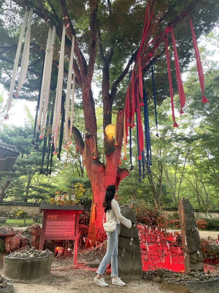 한국 민속촌 귀굴, 수원 망포 판타지움 바운스 파크, 로라비트