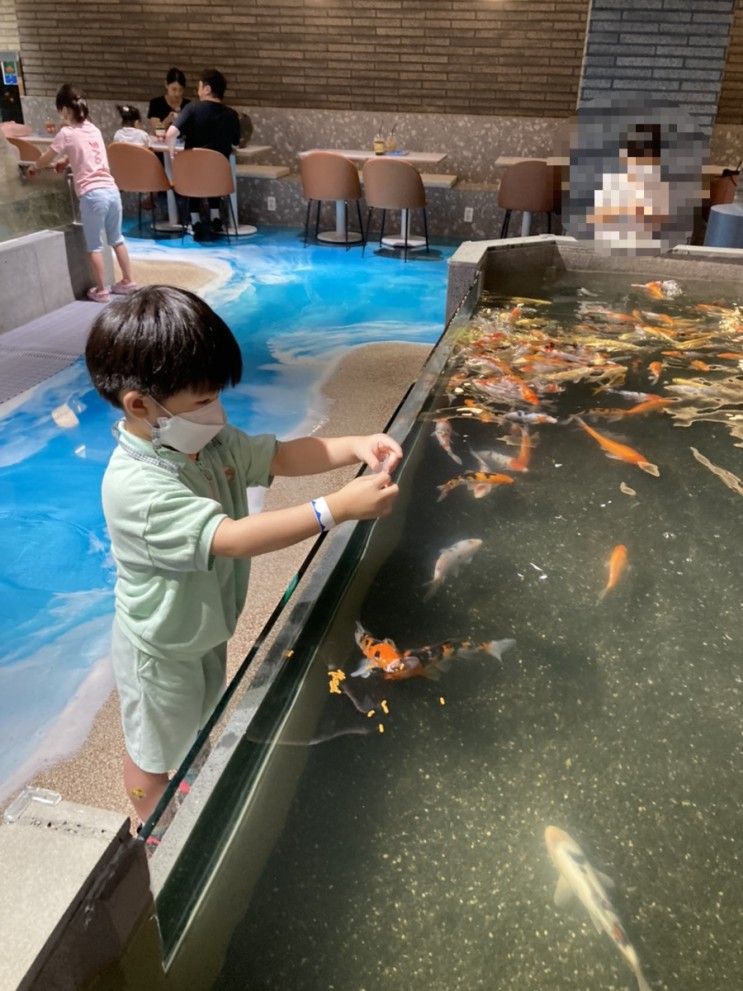 [육아일기] 영통 물고기 파충류 체험 카페 어푸어푸 다녀왔어요 feat. 5세 아들이랑 오픈2일차 방문, 입장료 및 주차