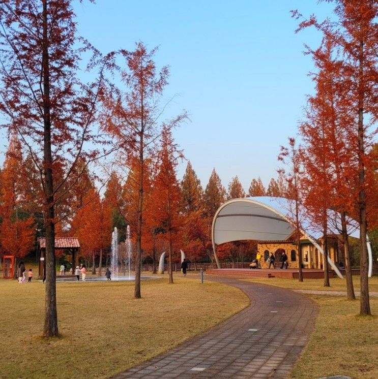 [전남 담양]메타세콰이어도 좋지만 아이와 함께라면 담양곤충박물관과 메타세콰이어랜드로~