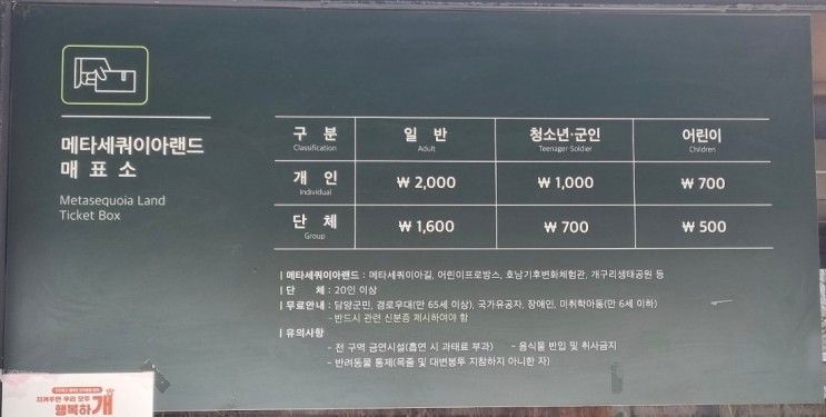 [담양 가볼만한 곳] 메타세콰이어랜드, 어린이 프로방스