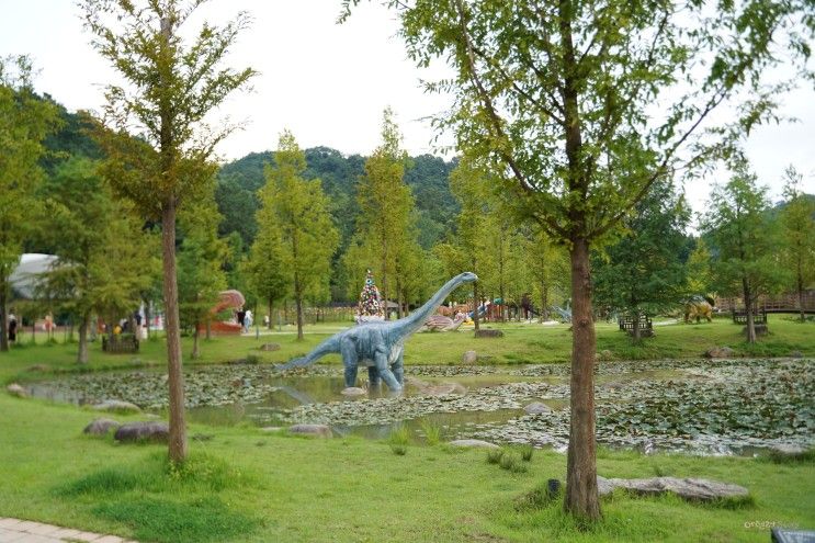 담양 메타세콰이어랜드 어린이 프로방스 공룡 좋아하는 아이와 가볼만한곳