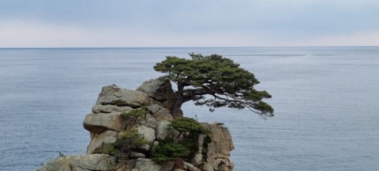 양양 8경 중 하나인 하조대 해변 둘레길, 등대 카페, 2백 년...