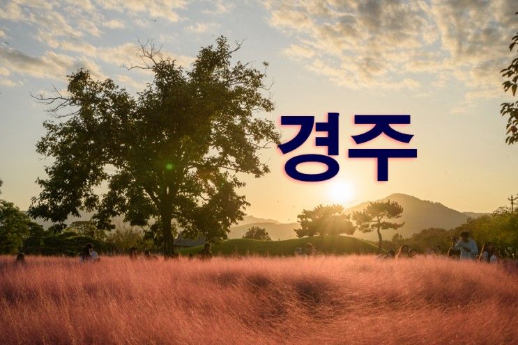 경주 첨성대 핑크뮬리 보러 당일치기 경주여행코스