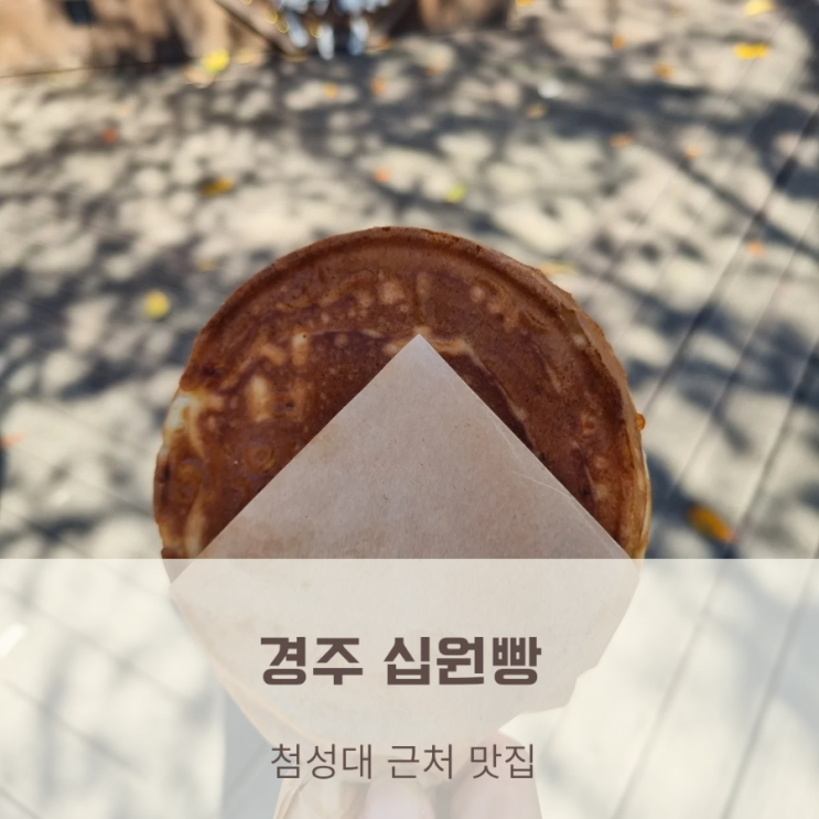 경주십원빵 첨성대 핑크뮬리 근처 먹거리 간식/가격