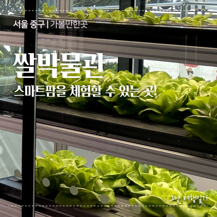 농협 쌀박물관 | 서울 아이와가볼만한 곳 스마트팜체험 + 주차정보