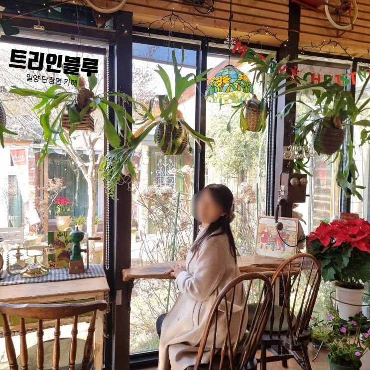 밀양 단장면 카페 데이트하기 좋은 빈티지 감성 트리인블루