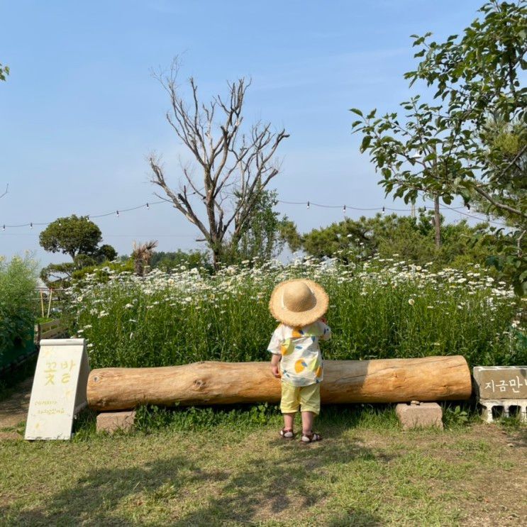 아기랑 서울 나들이)플레이스콤마 /꽃밭과 채소밭이 있는...