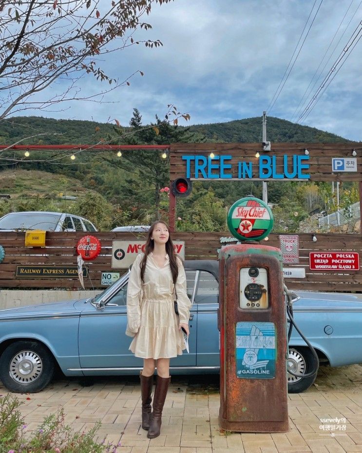 [밀양 단장면 카페 트리인블루(TREE IN BLUE)] ; 앤틱 + 올드카...