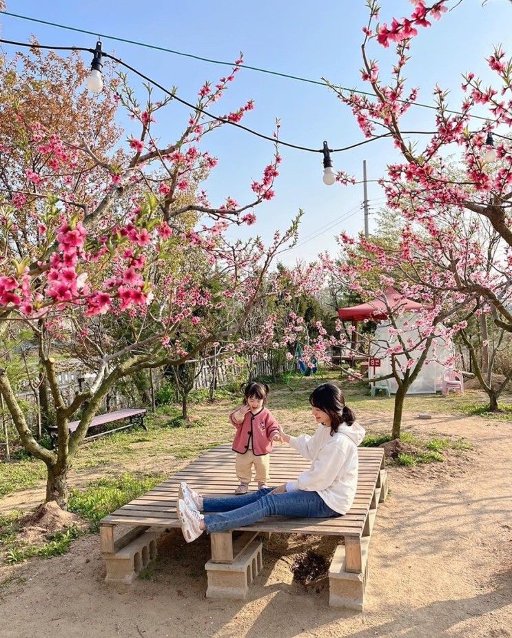 서울 강서 플레이스콤마 식물카페 겸 농장카페 / 서울근교 야외...