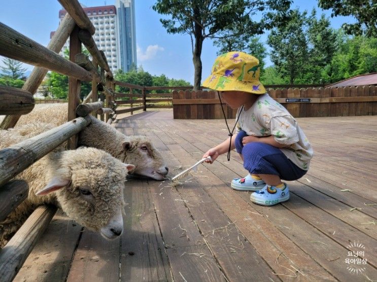 [켄싱턴호텔 평창] 아기랑 호캉스_ 부대시설 정보 _내돈내산...