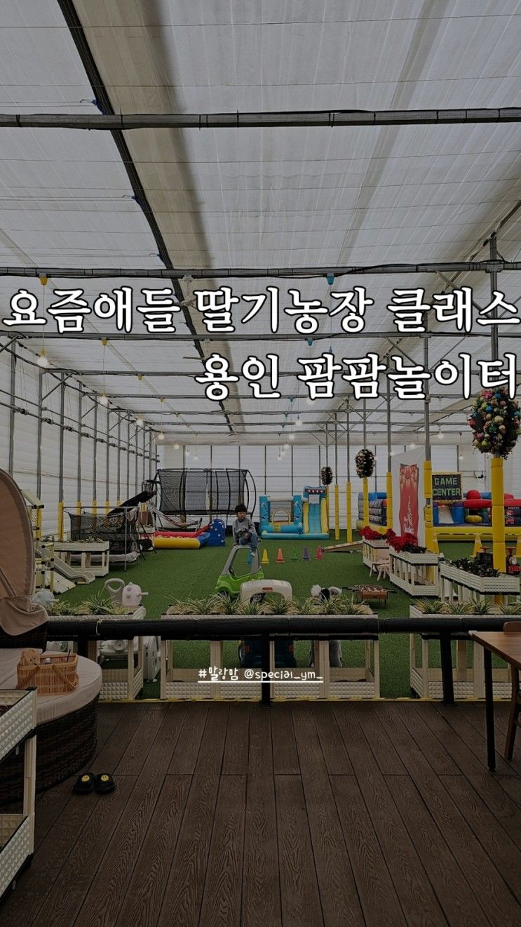 재방문한 딸기체험농장... 라탄감성까지 용인 팜팜놀이터딸기농장