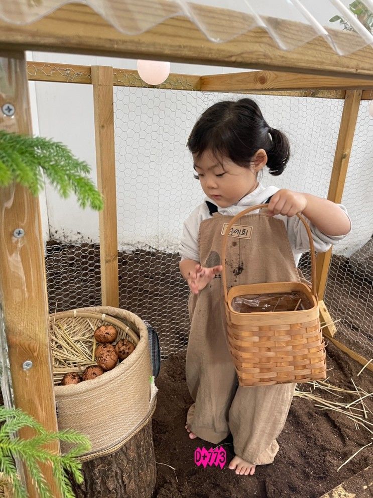 [K] 고마워토토 삼성본점(알+이모 생파)