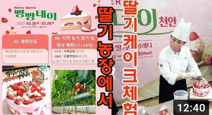 [천안딸기힐링팜] 2022년도... 본 딸기농장 방문, 딸기케이크...