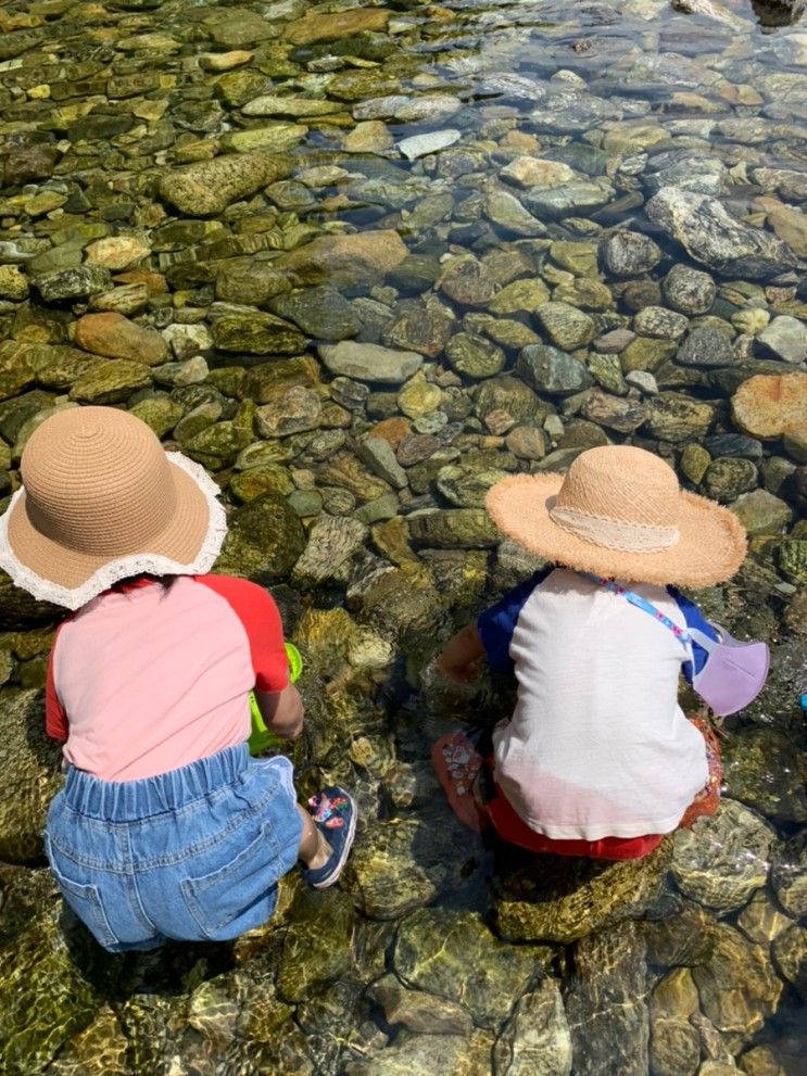 아이와 갈만한 서울인근 계곡& 숲속 놀이터 - 가평 그라운드 휴(강추)