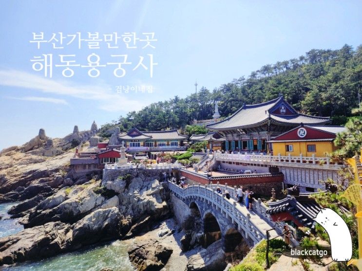 부산 기장, 바다와 맞닿은 이색사찰 해동용궁사