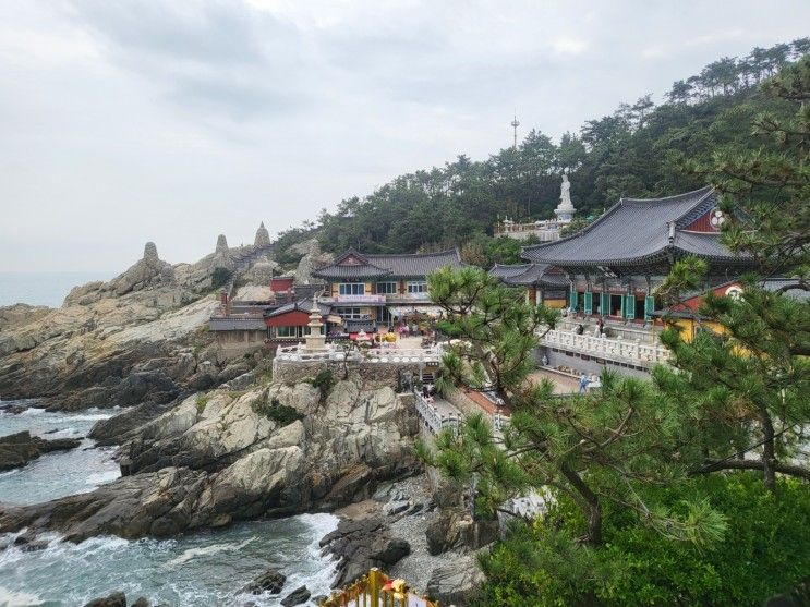 [부산] 한국에서 가장 아름답다는 해동 용궁사.