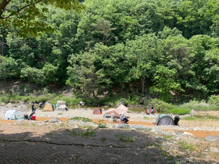 아이와 떠나는 당일치기 천렵 / 가평그라운드휴 / 바베큐 / 카페