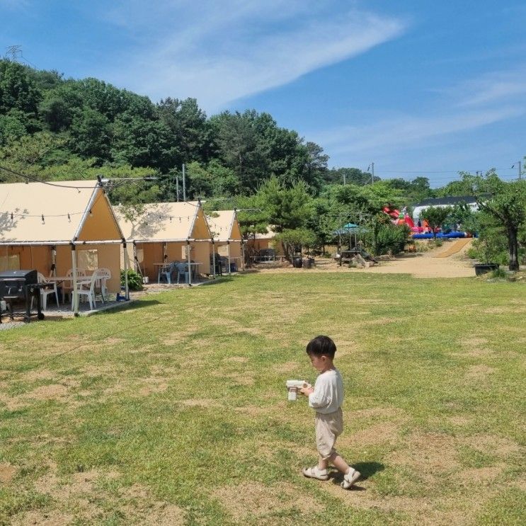 [칠곡 덕산수목원] 아이들 놀거리 가득한 캠프닉장!