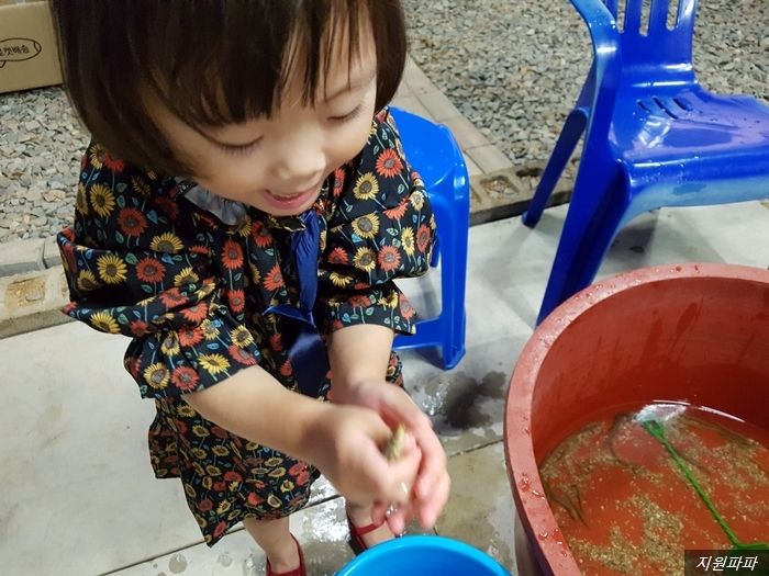 근교 아이와 가볼만한곳/ 아이와 함께 체험할만한곳/덕산수목원