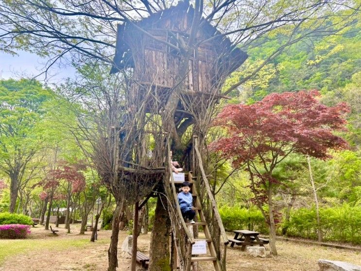 가평 아이랑가볼만한곳  트리하우스 그라운드휴