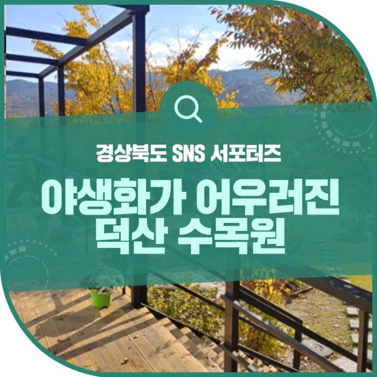 야생화가 어우러져 있는 체험형 농원 덕산 수목원 다녀온 후기!