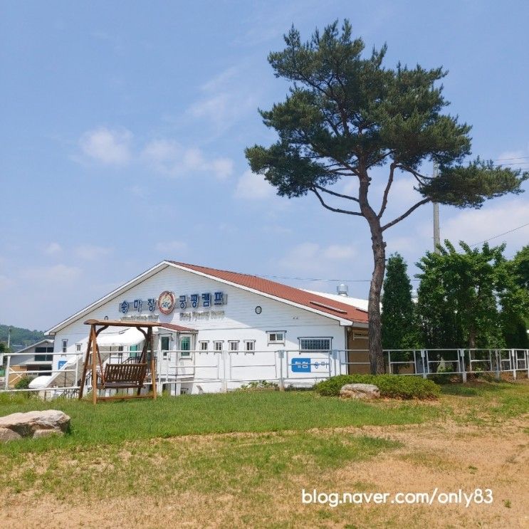 [경기도 화성시] 어린이 승마체험, 궁평캠프