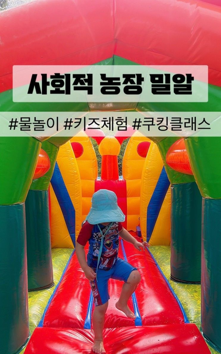 [창원]아이와가볼만한곳/사회적 농장 밀알...