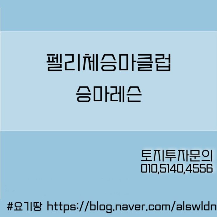 화성승마 체험해보기