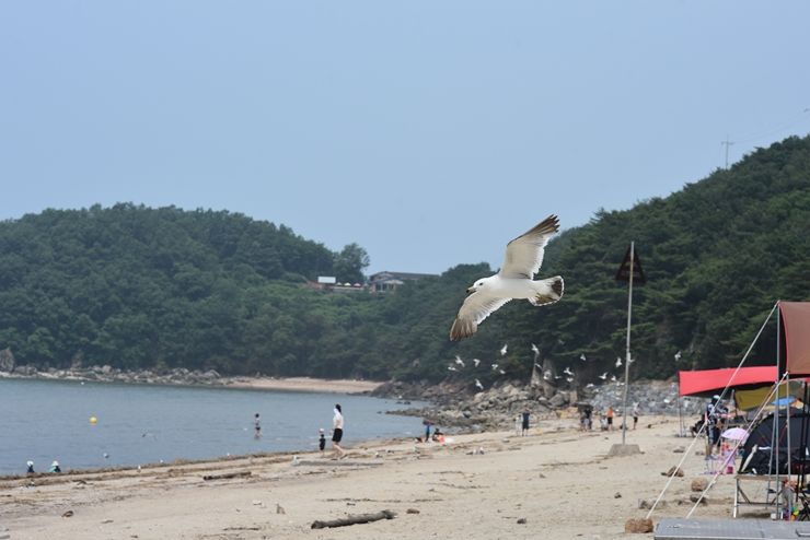 석모도 여행 민머루해수욕장