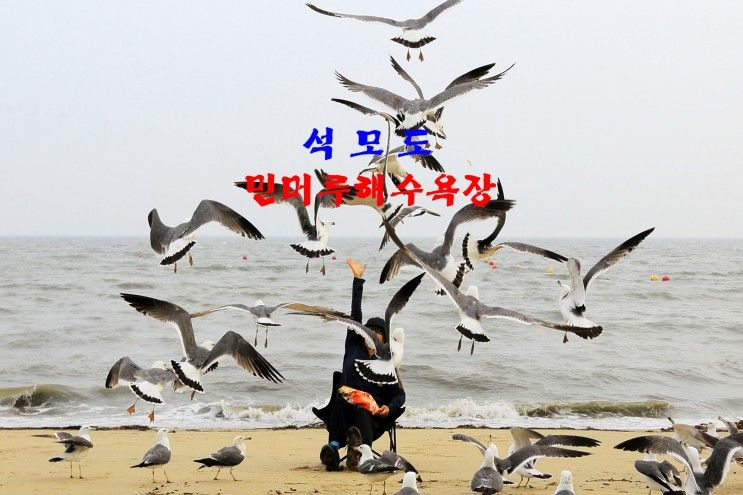 인천 섬여행 익사이팅 석모도 민머루해수욕장